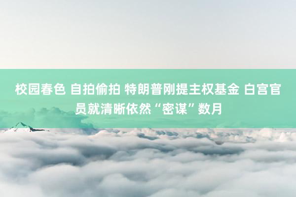 校园春色 自拍偷拍 特朗普刚提主权基金 白宫官员就清晰依然“密谋”数月