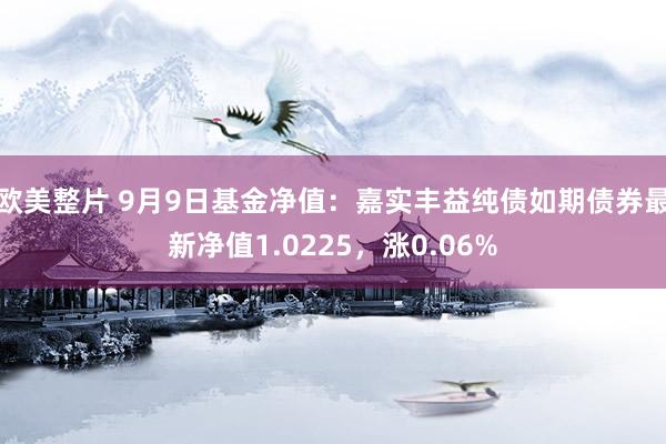 欧美整片 9月9日基金净值：嘉实丰益纯债如期债券最新净值1.0225，涨0.06%