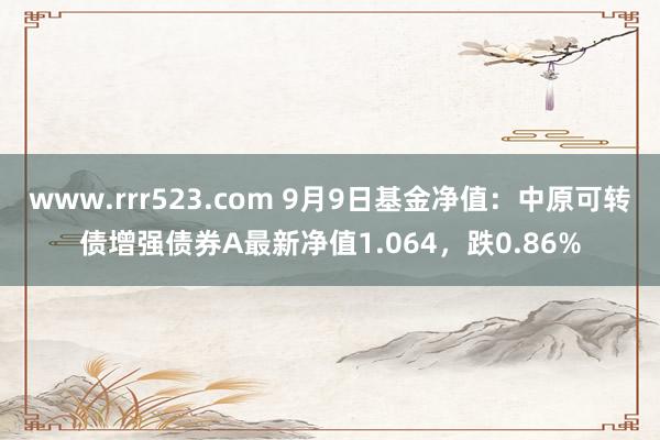 www.rrr523.com 9月9日基金净值：中原可转债增强债券A最新净值1.064，跌0.86%