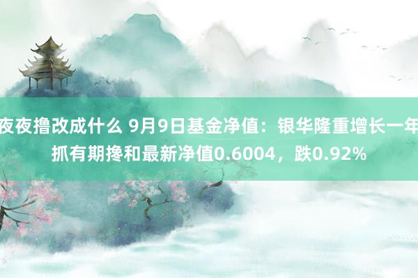 夜夜撸改成什么 9月9日基金净值：银华隆重增长一年抓有期搀和最新净值0.6004，跌0.92%