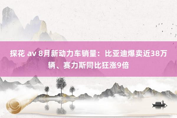 探花 av 8月新动力车销量：比亚迪爆卖近38万辆、赛力斯同比狂涨9倍