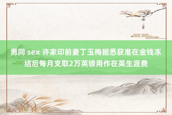 男同 sex 许家印前妻丁玉梅据悉获准在金钱冻结后每月支取2万英镑用作在英生涯费