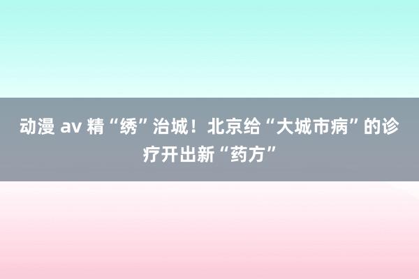 动漫 av 精“绣”治城！北京给“大城市病”的诊疗开出新“药方”