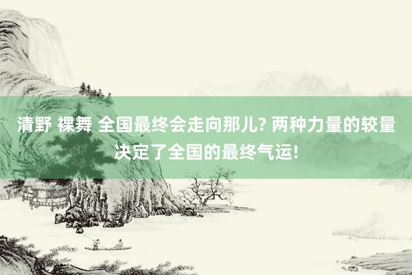 清野 裸舞 全国最终会走向那儿? 两种力量的较量决定了全国的最终气运!