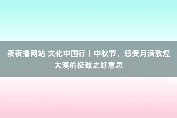 夜夜撸网站 文化中国行丨中秋节，感受月满敦煌大漠的极致之好意思