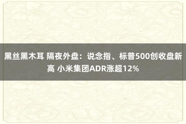 黑丝黑木耳 隔夜外盘：说念指、标普500创收盘新高 小米集团ADR涨超12%