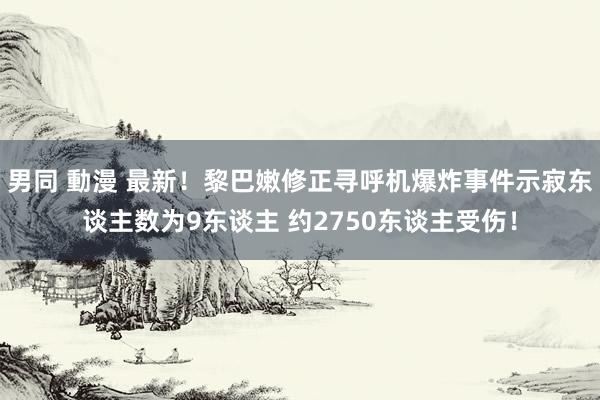 男同 動漫 最新！黎巴嫩修正寻呼机爆炸事件示寂东谈主数为9东谈主 约2750东谈