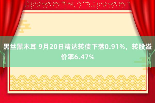 黑丝黑木耳 9月20日精达转债下落0.91%，转股溢价率6.47%