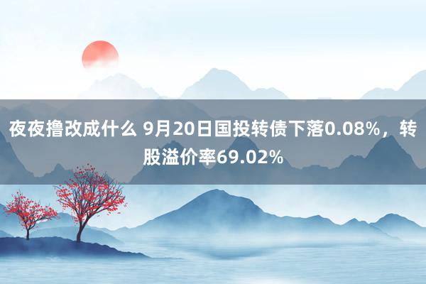 夜夜撸改成什么 9月20日国投转债下落0.08%，转股溢价率69.02%