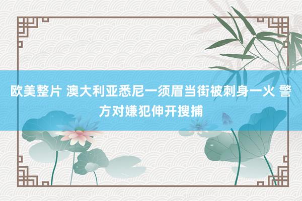 欧美整片 澳大利亚悉尼一须眉当街被刺身一火 警方对嫌犯伸开搜捕