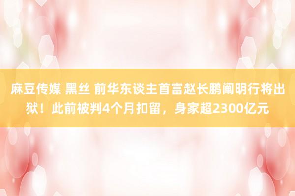 麻豆传媒 黑丝 前华东谈主首富赵长鹏阐明行将出狱！此前被判4个月扣留，身家超2300亿元