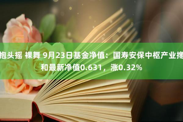 抱头摇 裸舞 9月23日基金净值：国寿安保中枢产业搀和最新净值0.631，涨0.32%