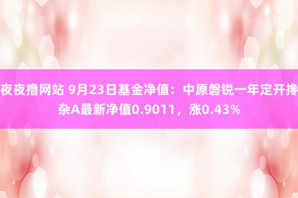 夜夜撸网站 9月23日基金净值：中原磐锐一年定开搀杂A最新净值0.9011，涨0.43%