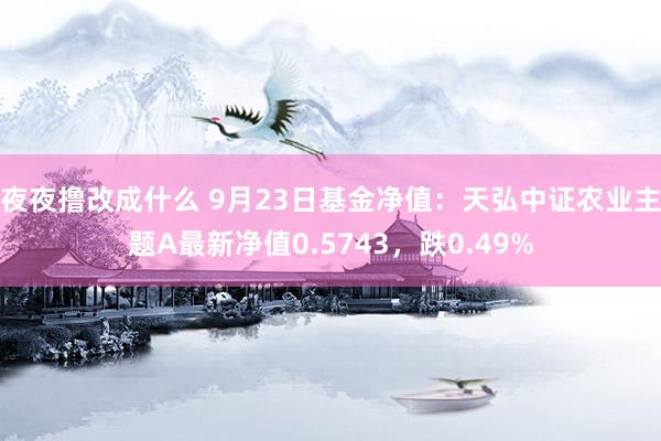 夜夜撸改成什么 9月23日基金净值：天弘中证农业主题A最新净值0.5743，跌0.49%