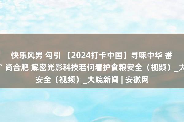 快乐风男 勾引 【2024打卡中国】寻味中华 番邦网红解锁“食”尚合肥 解密光影科技若何看护食粮安全（视频）_大皖新闻 | 安徽网