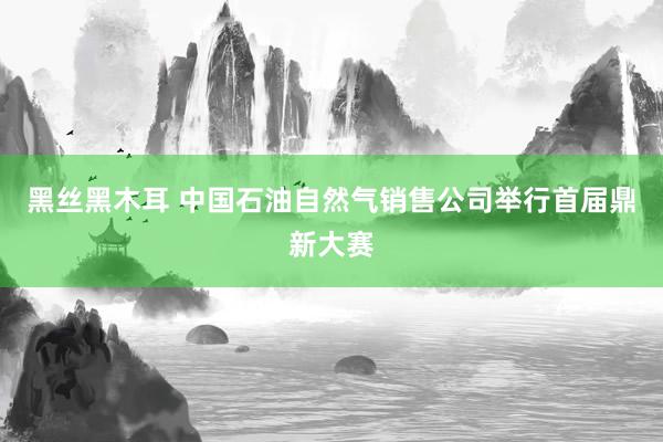 黑丝黑木耳 中国石油自然气销售公司举行首届鼎新大赛