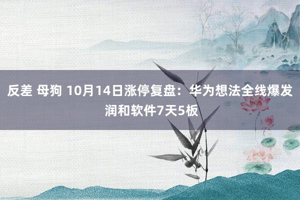 反差 母狗 10月14日涨停复盘：华为想法全线爆发 润和软件7天5板