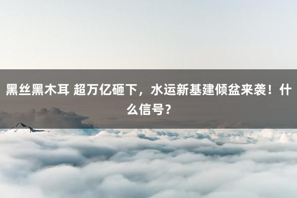 黑丝黑木耳 超万亿砸下，水运新基建倾盆来袭！什么信号？