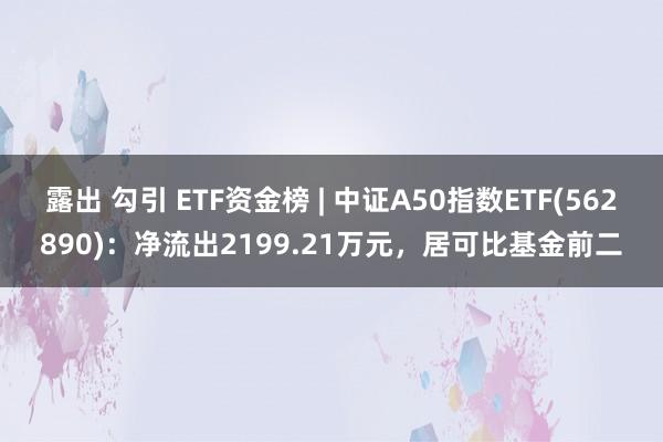 露出 勾引 ETF资金榜 | 中证A50指数ETF(562890)：净流出2199.21万元，居可比基金前二