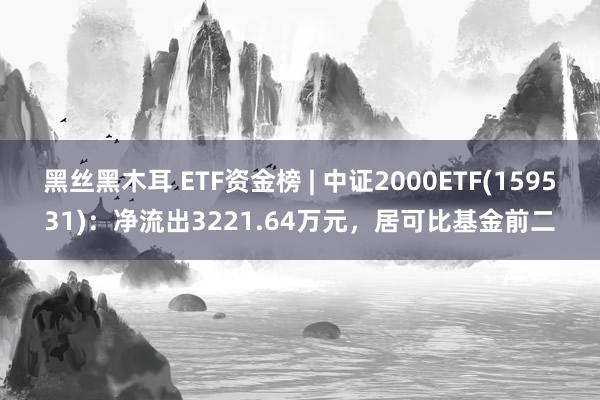 黑丝黑木耳 ETF资金榜 | 中证2000ETF(159531)：净流出3221.64万元，居可比基金前二