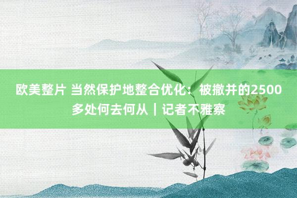 欧美整片 当然保护地整合优化：被撤并的2500多处何去何从｜记者不雅察