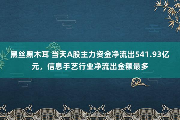 黑丝黑木耳 当天A股主力资金净流出541.93亿元，信息手艺行业净流出金额最多