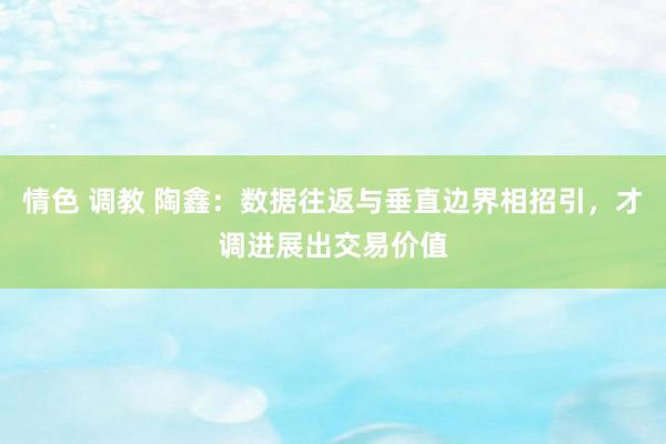 情色 调教 陶鑫：数据往返与垂直边界相招引，才调进展出交易价值