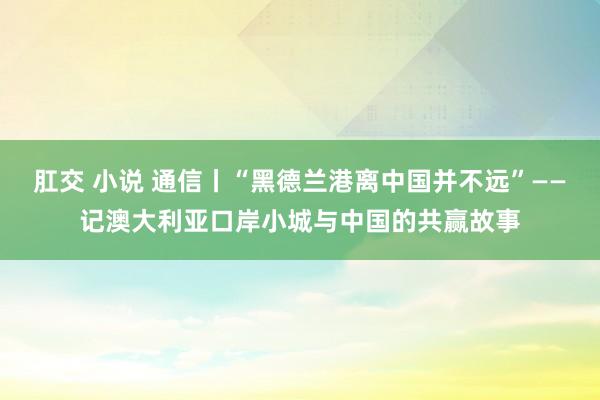 肛交 小说 通信丨“黑德兰港离中国并不远”——记澳大利亚口岸小城与中国的共赢故事