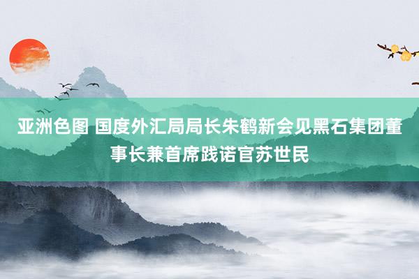 亚洲色图 国度外汇局局长朱鹤新会见黑石集团董事长兼首席践诺官苏世民