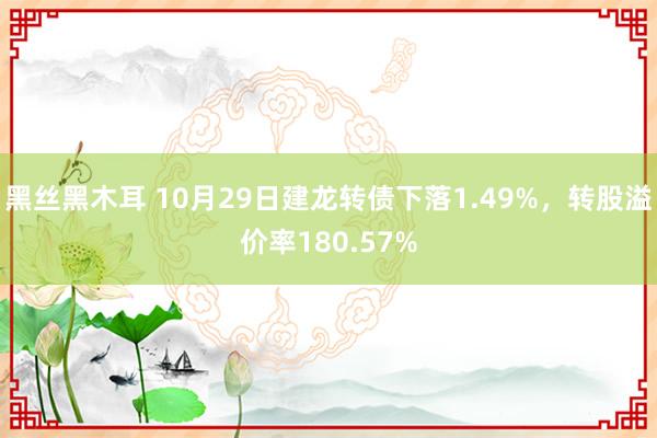 黑丝黑木耳 10月29日建龙转债下落1.49%，转股溢价率180.57%