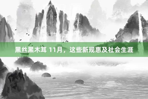 黑丝黑木耳 11月，这些新规惠及社会生涯