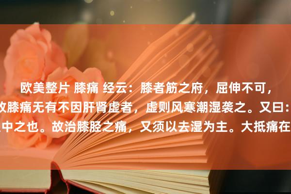 欧美整片 膝痛 经云：膝者筋之府，屈伸不可，行则偻附，筋将惫矣。故膝痛无有不因肝肾虚者，虚则风寒潮湿袭之。又曰：身半以下者，湿中之也。故治膝胫之痛，又须以去湿为主。大抵痛在筋者，多挟风热，则屈不伸而肿，兼阴虚者