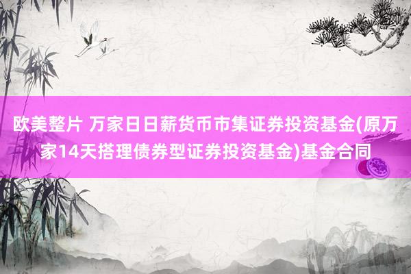 欧美整片 万家日日薪货币市集证券投资基金(原万家14天搭理债券型证券投资基金)基金合同