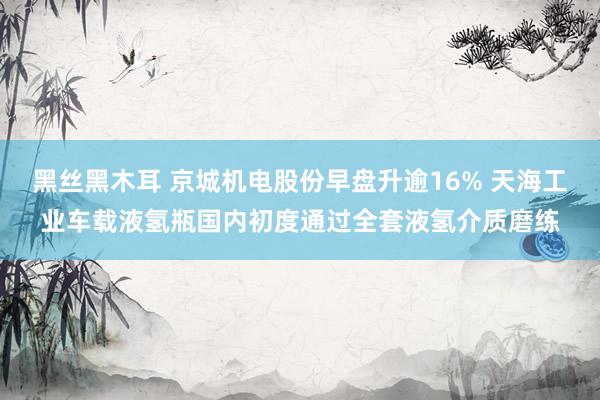 黑丝黑木耳 京城机电股份早盘升逾16% 天海工业车载液氢瓶国内初度通过全套液氢介