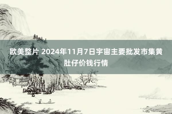 欧美整片 2024年11月7日宇宙主要批发市集黄肚仔价钱行情