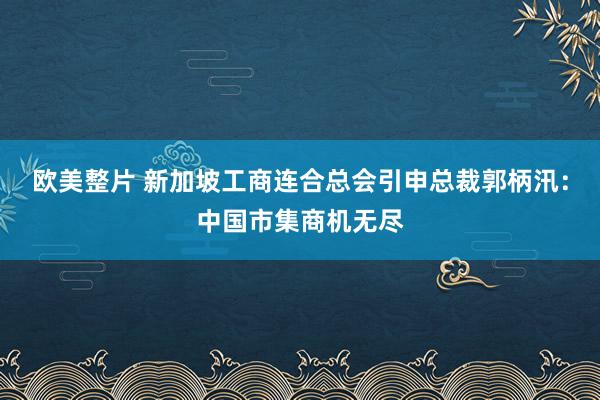 欧美整片 新加坡工商连合总会引申总裁郭柄汛：中国市集商机无尽