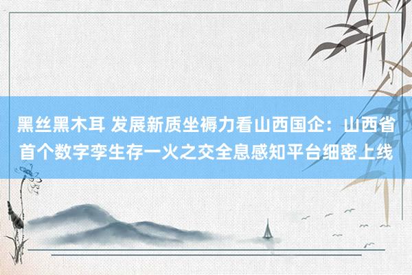 黑丝黑木耳 发展新质坐褥力看山西国企：山西省首个数字孪生存一火之交全息感知平台细