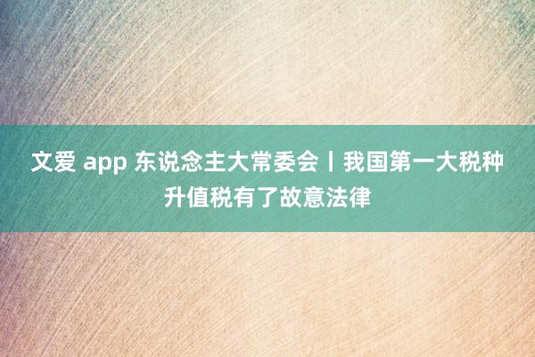 文爱 app 东说念主大常委会丨我国第一大税种升值税有了故意法律