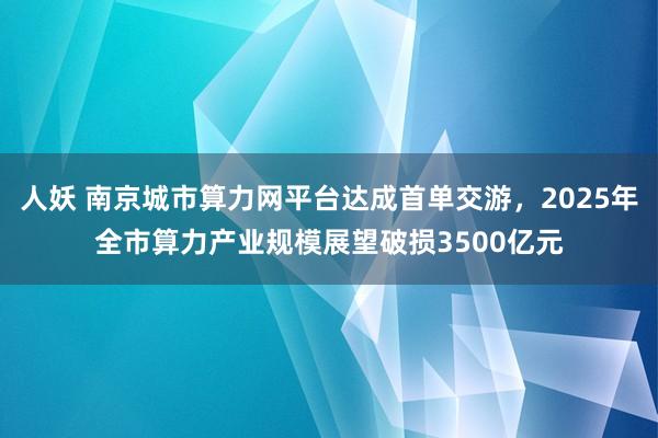 人妖 南京城市算力网平台达成首单交游，2025年全市算力产业规模展望破损3500