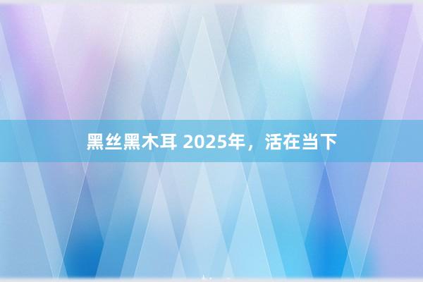 黑丝黑木耳 2025年，活在当下