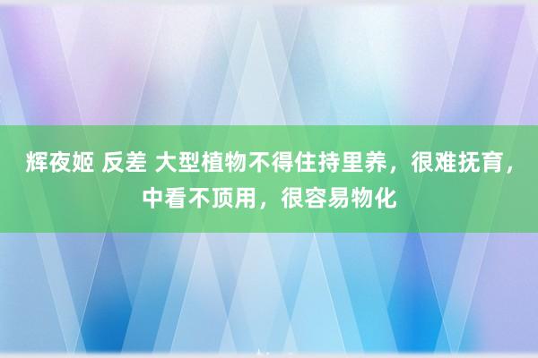 辉夜姬 反差 大型植物不得住持里养，很难抚育，中看不顶用，很容易物化