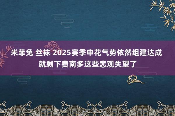 米菲兔 丝袜 2025赛季申花气势依然组建达成 就剩下费南多这些悲观失望了