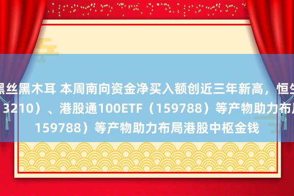 黑丝黑木耳 本周南向资金净买入额创近三年新高，恒生ETF易方达（513210）、