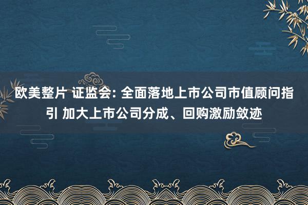 欧美整片 证监会: 全面落地上市公司市值顾问指引 加大上市公司分成、回购激励敛迹