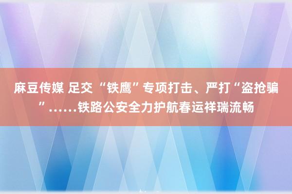 麻豆传媒 足交 “铁鹰”专项打击、严打“盗抢骗”……铁路公安全力护航春运祥瑞流畅