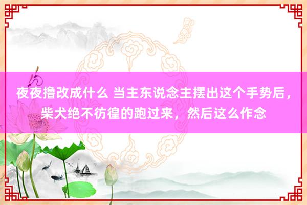 夜夜撸改成什么 当主东说念主摆出这个手势后，柴犬绝不彷徨的跑过来，然后这么作念