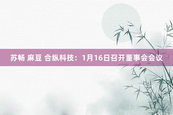 苏畅 麻豆 合纵科技：1月16日召开董事会会议